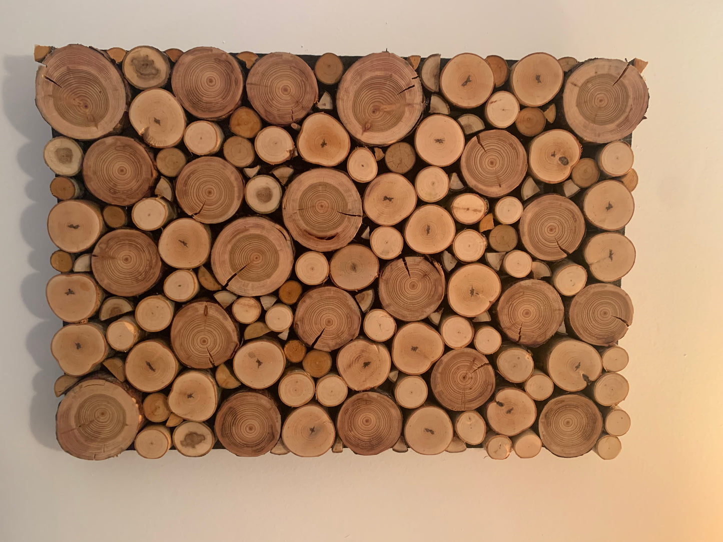 Handcrafted Branch Slice Wall Art – Unique Collage of Birch, Alder, Ironwood, and Applewood for Rustic Charm