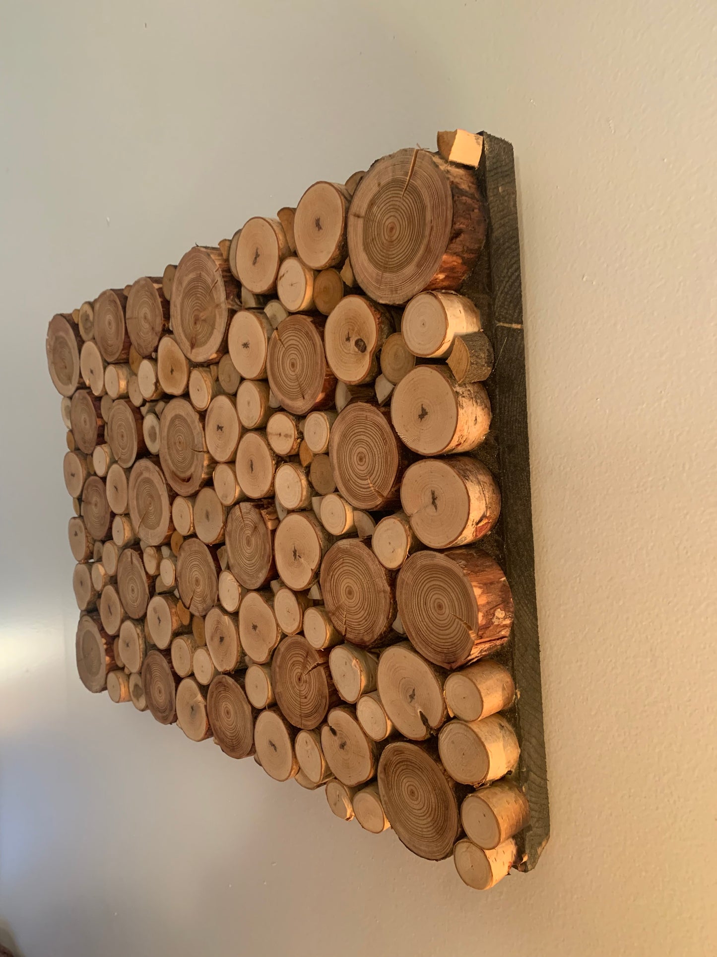 Handcrafted Branch Slice Wall Art – Unique Collage of Birch, Alder, Ironwood, and Applewood for Rustic Charm