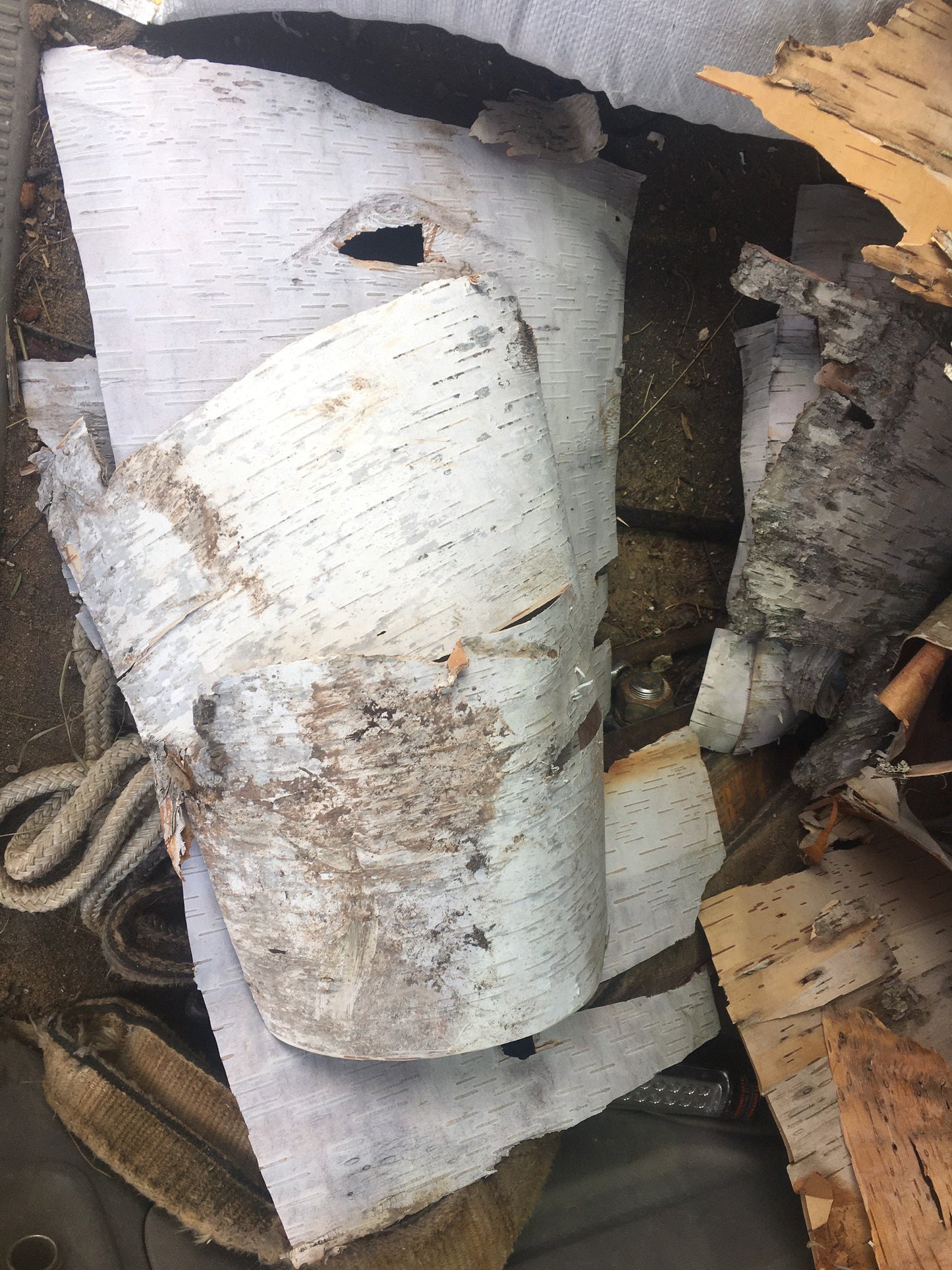 Close-up of textured birch bark, showcasing its natural white and cream colors with distinctive horizontal lines and layers, emphasizing the beauty of nature.