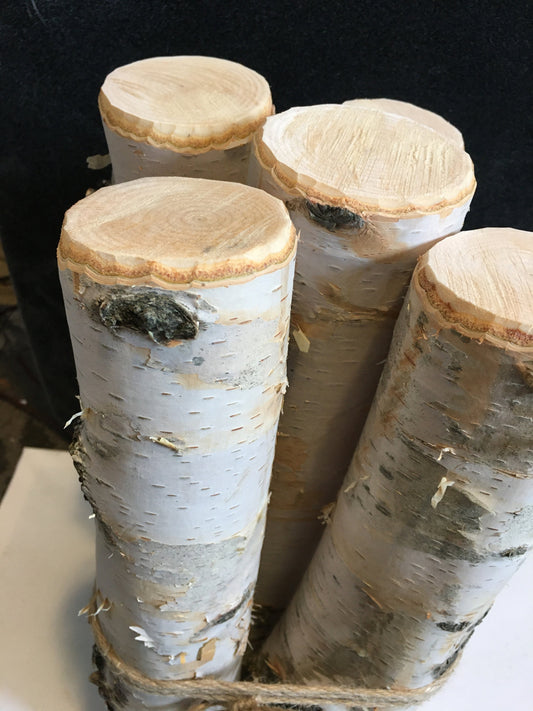 Birch Logs for Fireplace or Decor, cottage decor, wedding decor, rustic home decor