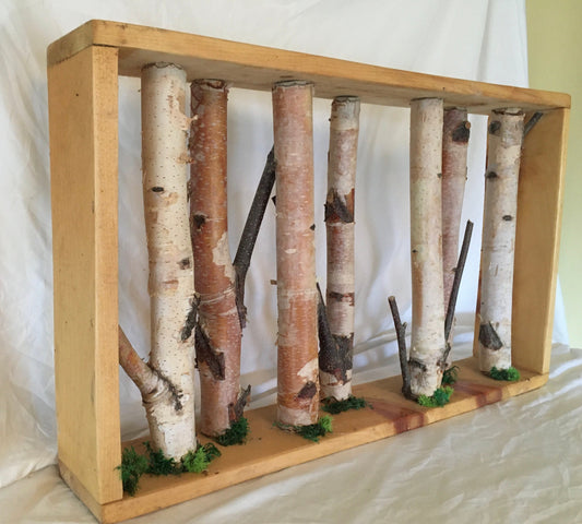 Birch Branch wall hanging, bring nature into your home, or great gift for the nature lover, cottage & cabin decor