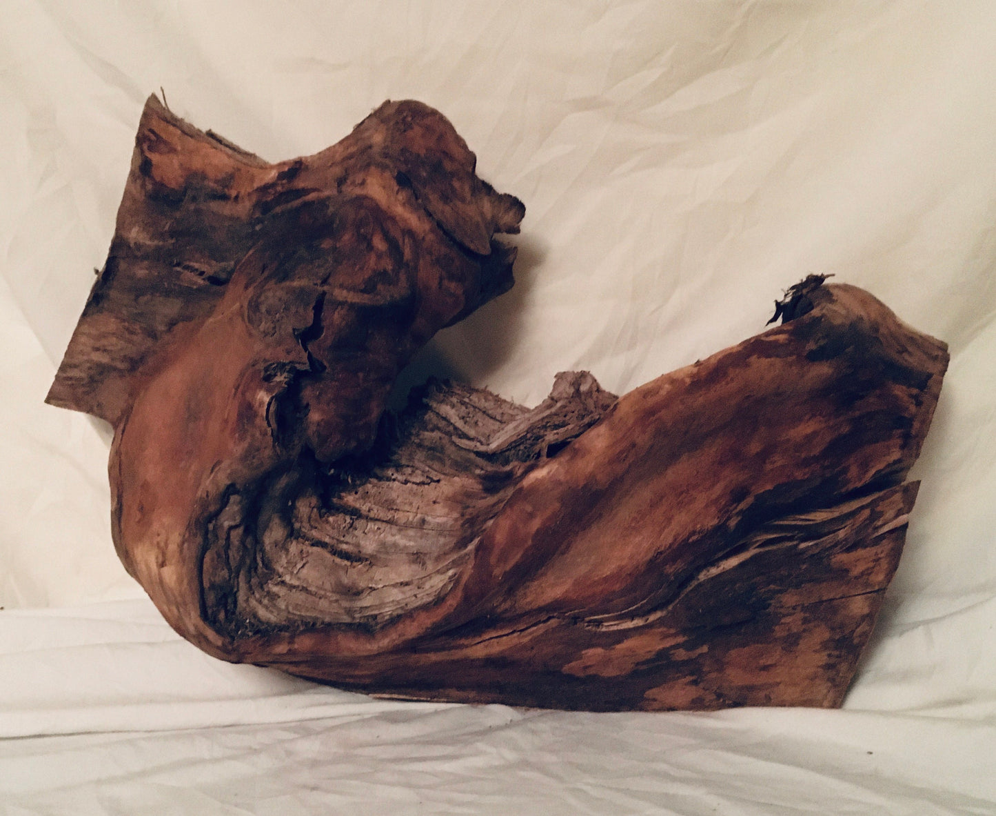 Wood sculpture, terrarium decor, all natural wood