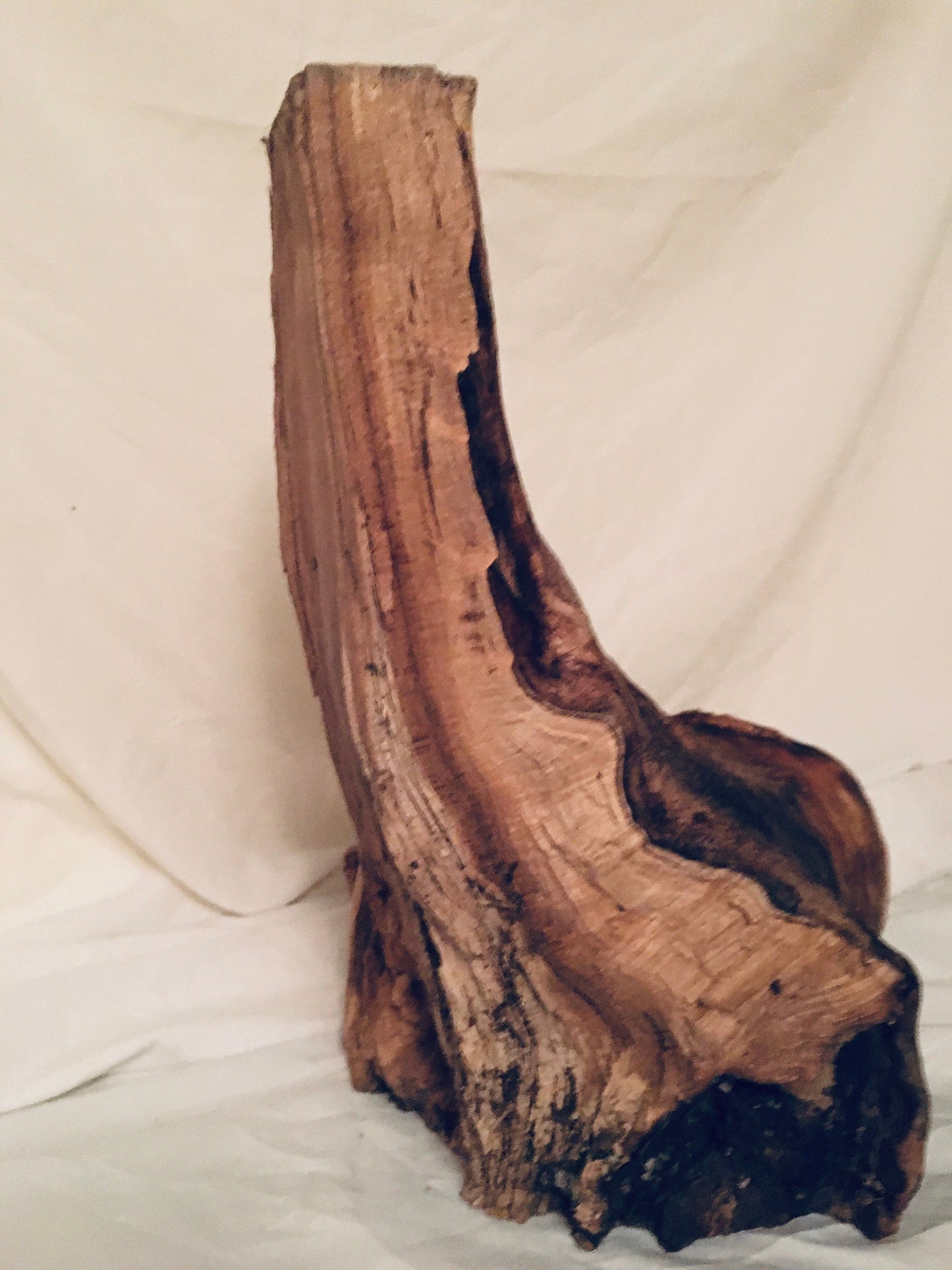 side view of the log