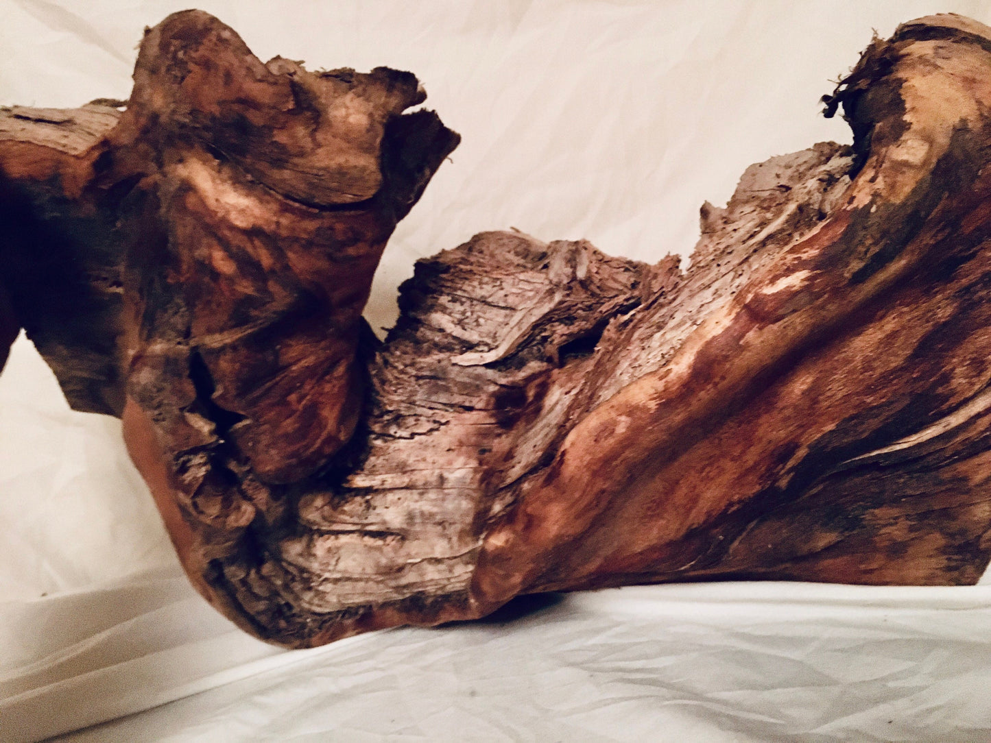 Wood sculpture, terrarium decor, all natural wood